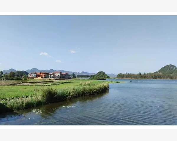 咳嗽化痰膏怎么做？