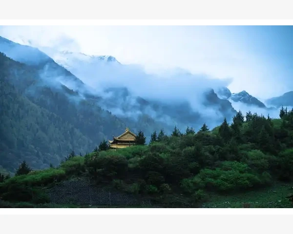 咳嗽化痰的过程：舒缓咳嗽，守护呼吸健康