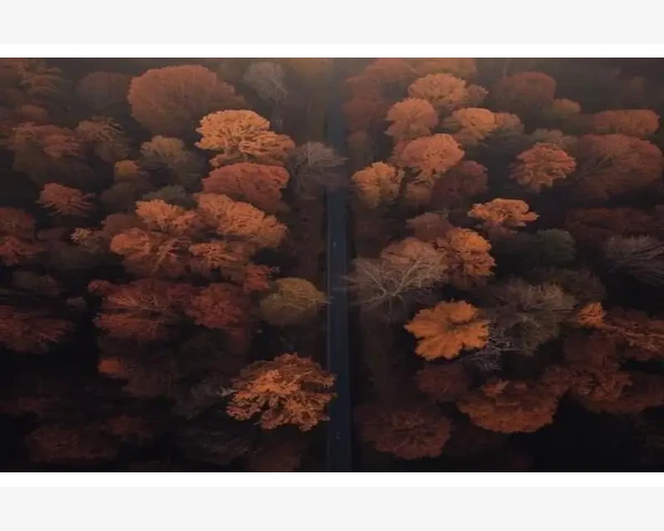 B2B代表什么企业采购新玩法