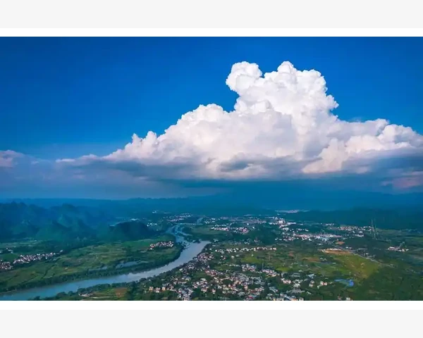 川贝止咳化痰：传统中医良药